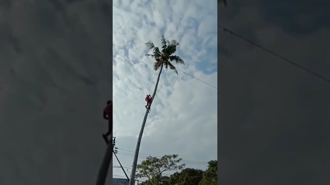 NÃO USOU EQUIPAMENTOS E SE DEU MAL