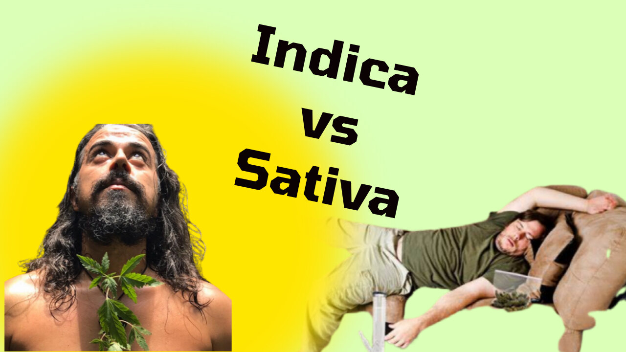 Indica or Sativa?