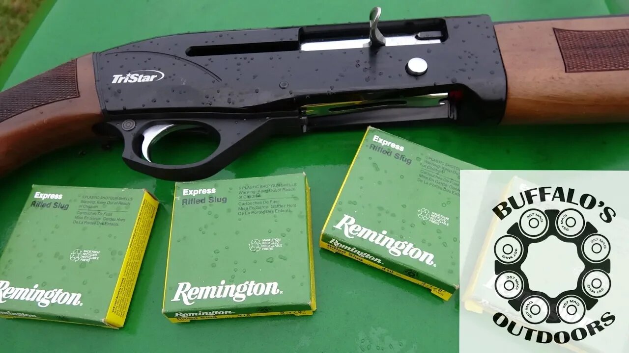 Remington Rifled .410 Slugs / TriStar Viper G2