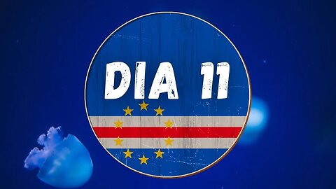 DIA 11