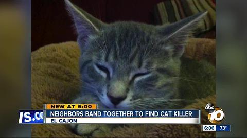 Neighbors band together to find cat killer