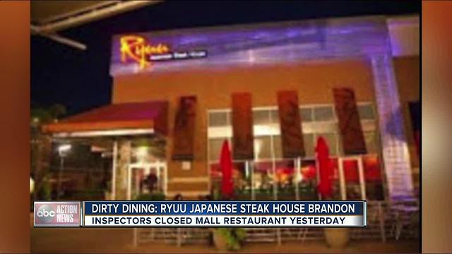 Dirty Dining: Brandon Mall's Ryuu Japanese Steak House temporarily shut down for roaches in kitchen