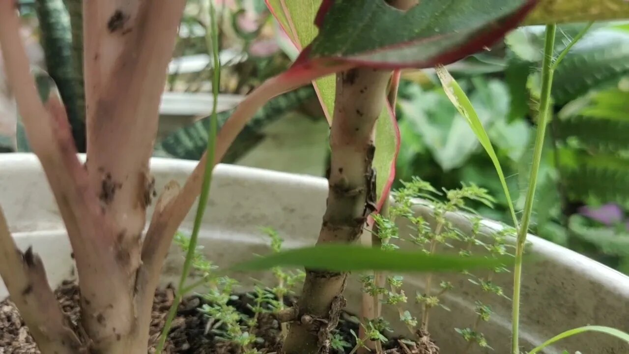 a day passed with no activity