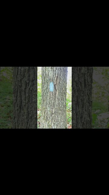 Trail Navigation #shtf #prepping #travel