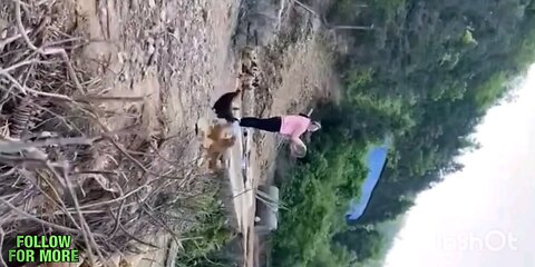 How got chickens when hearing food sound🥱🥱
