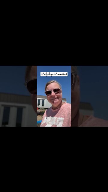 What to plant around your pecan trees #hedgehogshomestead #gardening