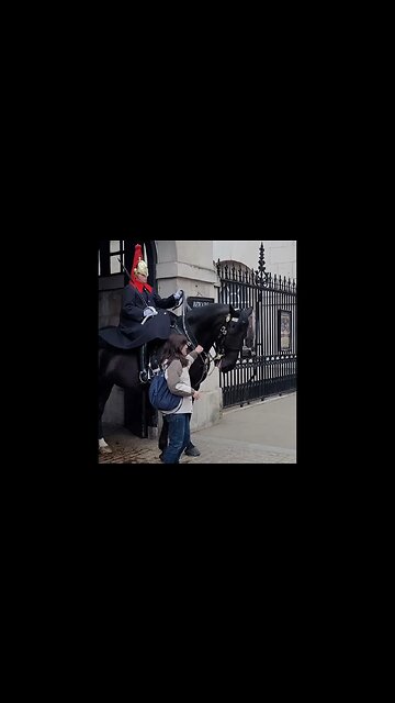 No you can't have the reins #horseguardsparade