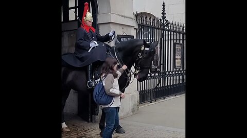 No you can't have the reins #horseguardsparade