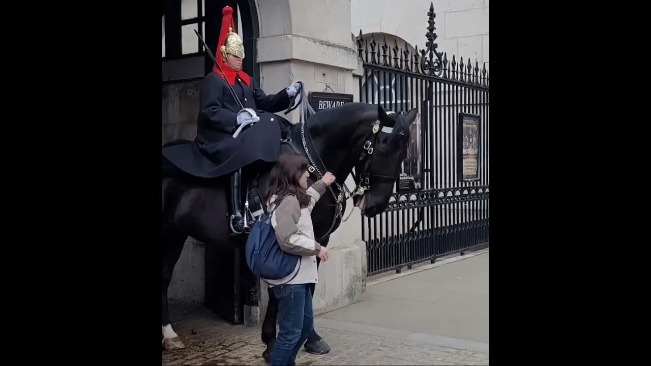 No you can't have the reins #horseguardsparade
