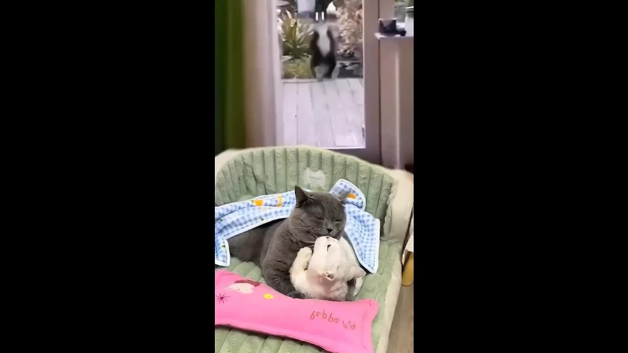 🤣🤣🤣🤣🤣