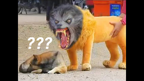 Troll Prank Dog Funny & fake Lion and Fake Tiger Prank To dog