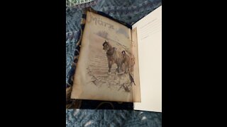 How to make a NEW planner using an outdated Moleskine Weekly Planner