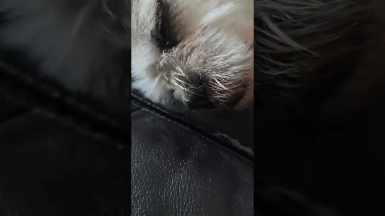 Stop Snoring