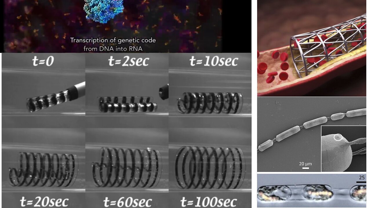 Shape Shifting Polymeric Material For Replacing Vascular Systems and Create MOF Networks in Humans