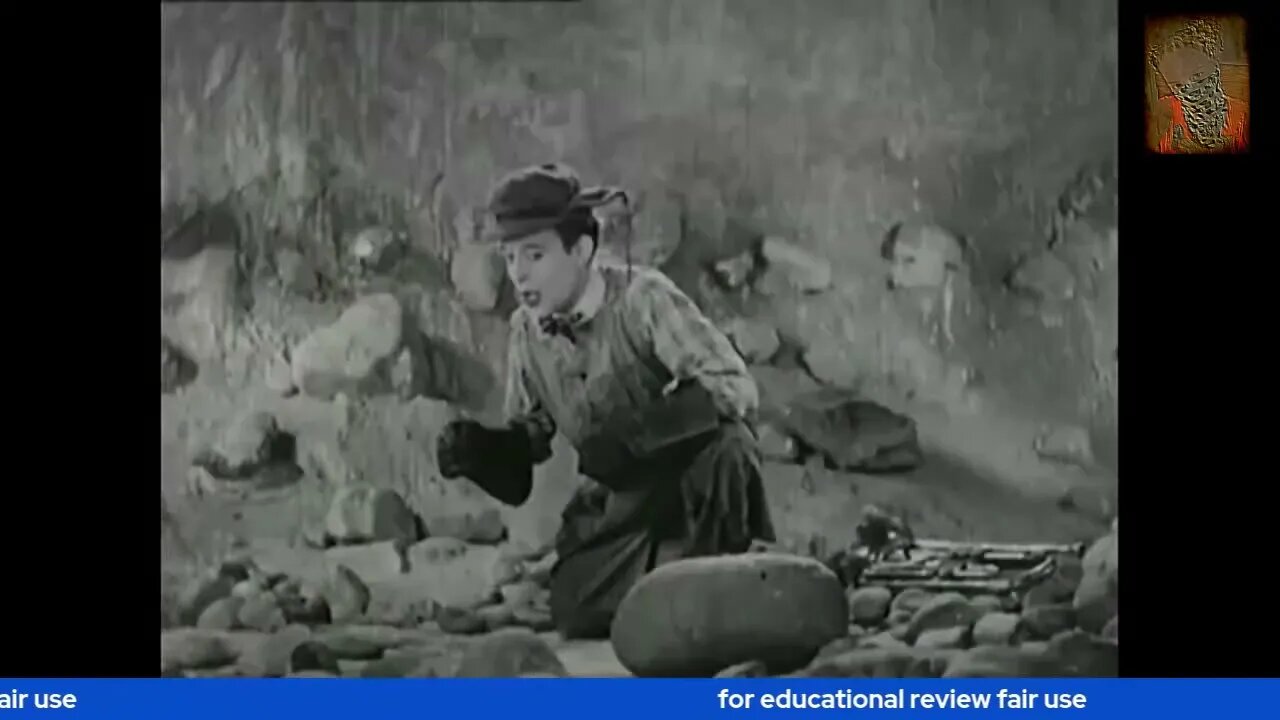 Its a bird! with music by Awezum Alice