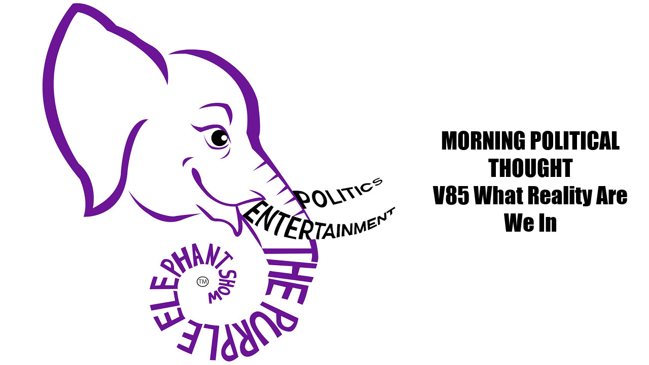 MPT V85 What Reality Are We In