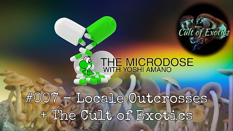 Locale Outcrosses + The Cult of Exotics w Julian Mattucci - The Microdose w/ Yoshi Amano ep 007