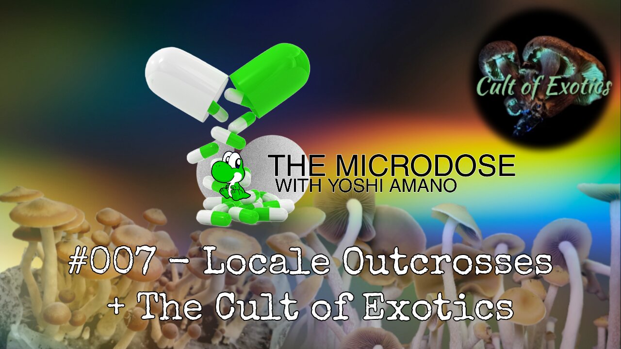 Locale Outcrosses + The Cult of Exotics w Julian Mattucci - The Microdose w/ Yoshi Amano ep 007