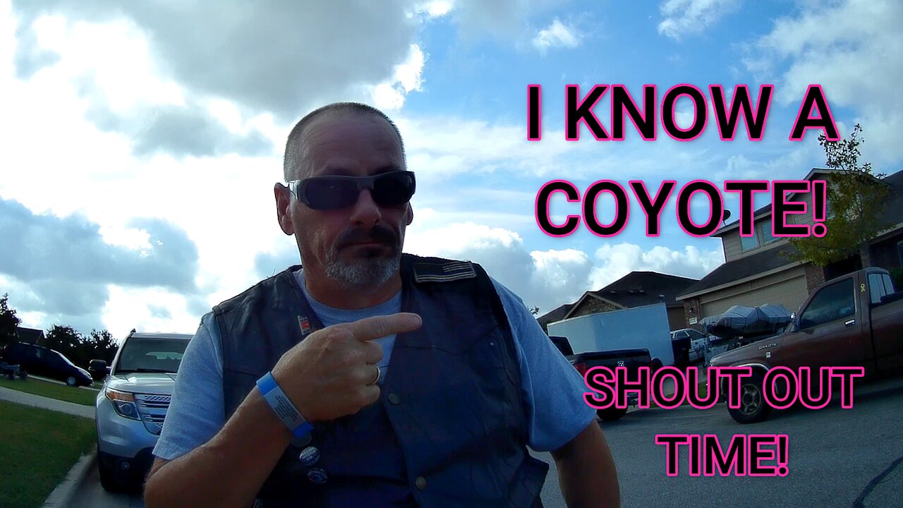 I KNOW A COYOTE! SHOUT OUT TIME!