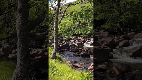 Allt na Lairige Scotland #shorts #relaxingmusic #nature