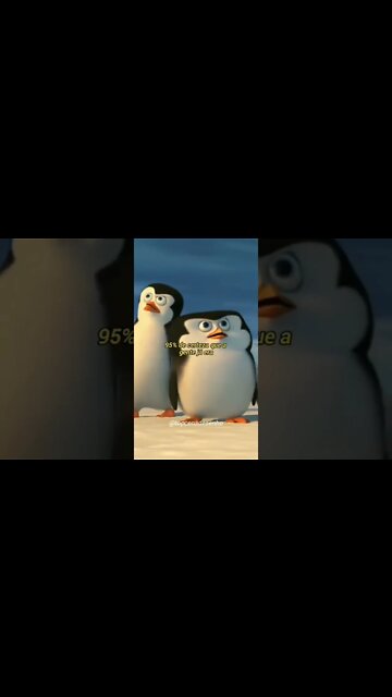 Conheça @BDMercantil!! Único ativo digital com lastro físico!!