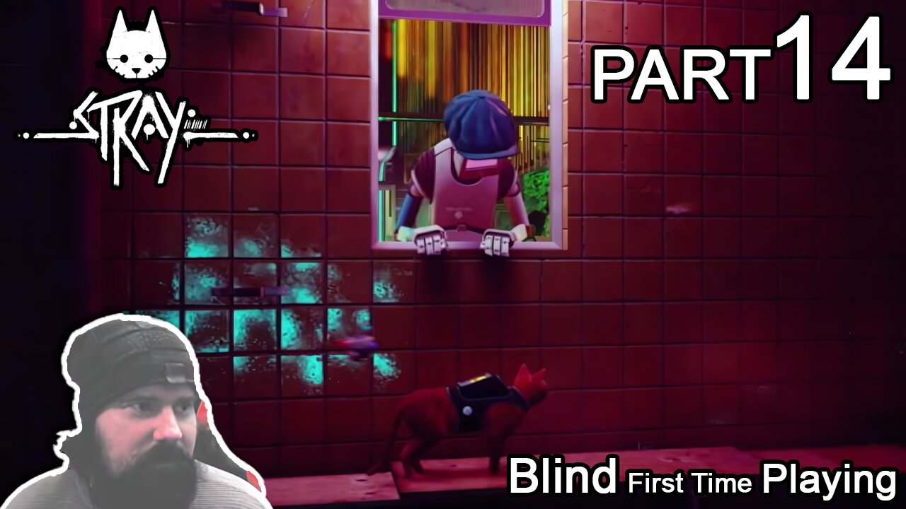 Breaking out of jail | Blind First Time Playing STRAY | Part 14