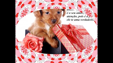 O maior presente que um animal pode te dar, é o seu amor, carinho e atenção! [Frases e Poemas]