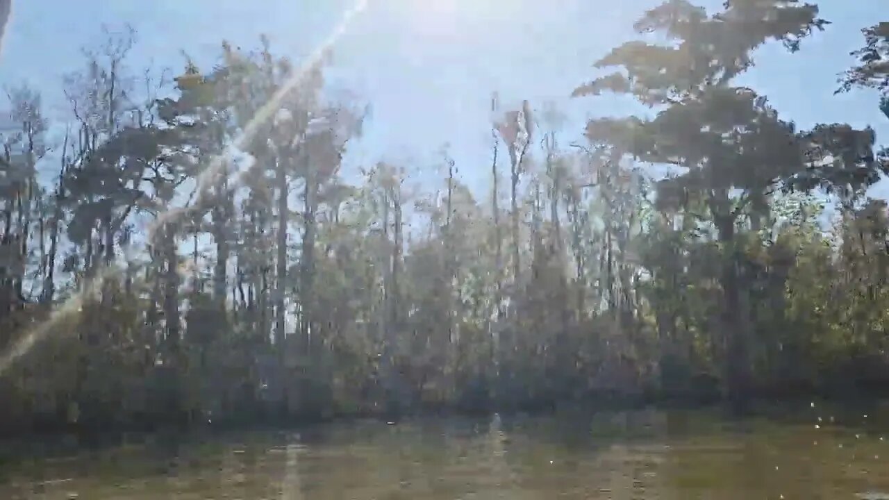 Swamp Tour | Honey Island Swamp, Louisiana
