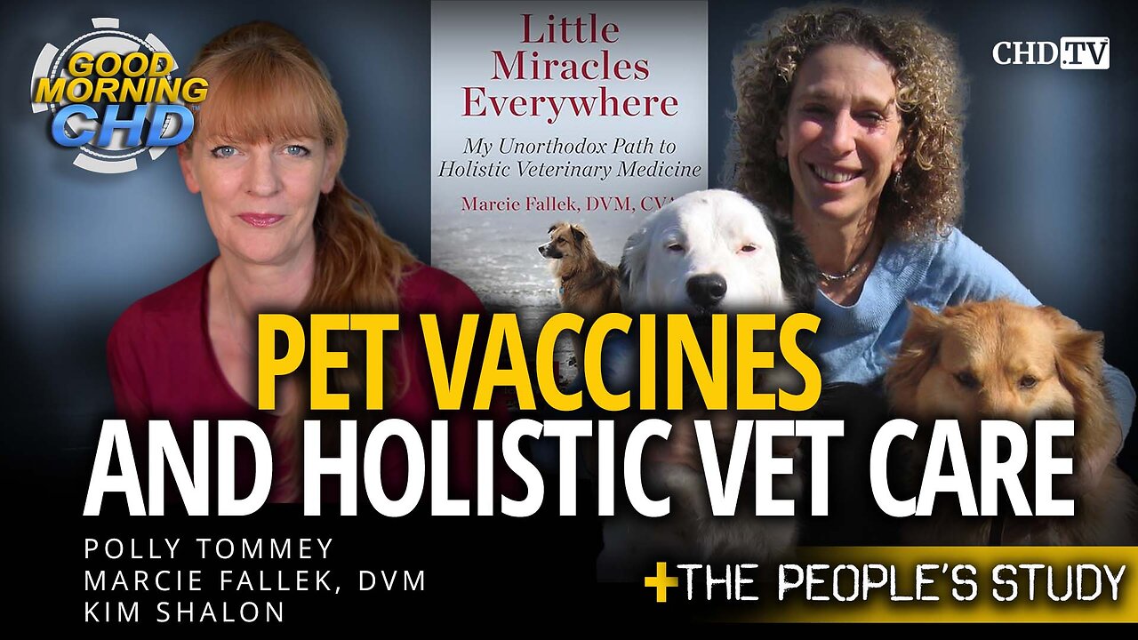 Pet Vaccines and Holistic Vet Care