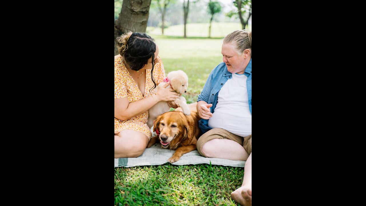 cute dog playing with his family member