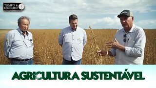 Genética da FT Sementes garante para sojicultores de Roraima alta produtividade