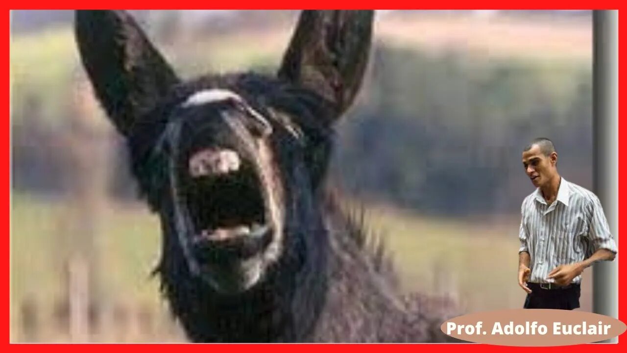 Lidando com os imbecis dentro da igreja, lição de veterano