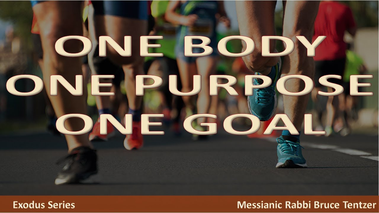 One Body One Purpose One Goal