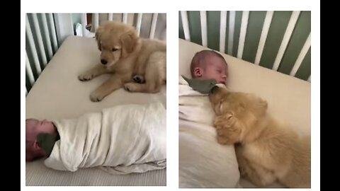 Little baby & Dog #rumble #youtube # viral