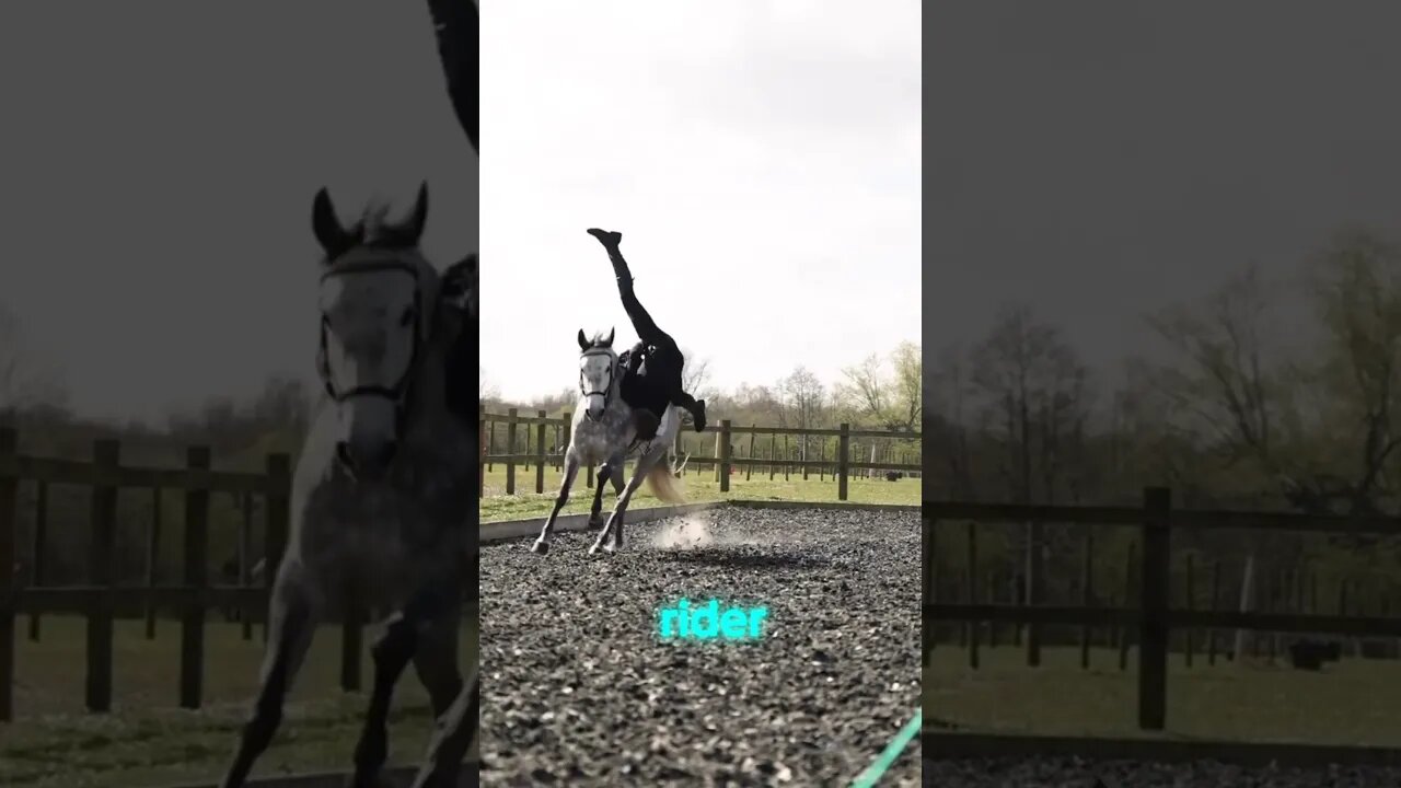 Being a male equestrian! #horse #horsecommunity