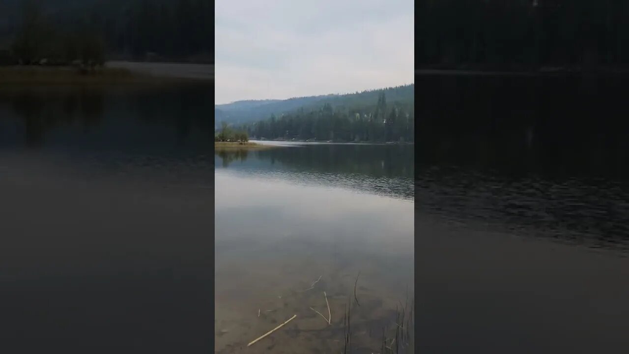 #linklake #britishcolumbia #canada #fishing