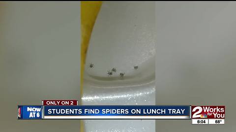 Students find spiders on school food tray