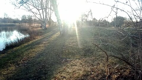 4. Der vierte Schmerz