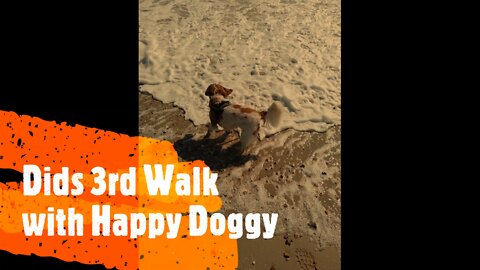 Dids 3rd Walk with Happy Doggy