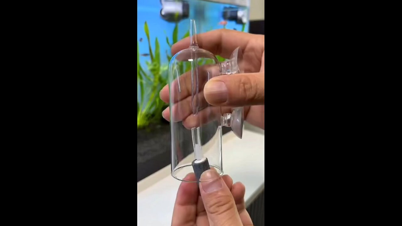 mini fish aquarium