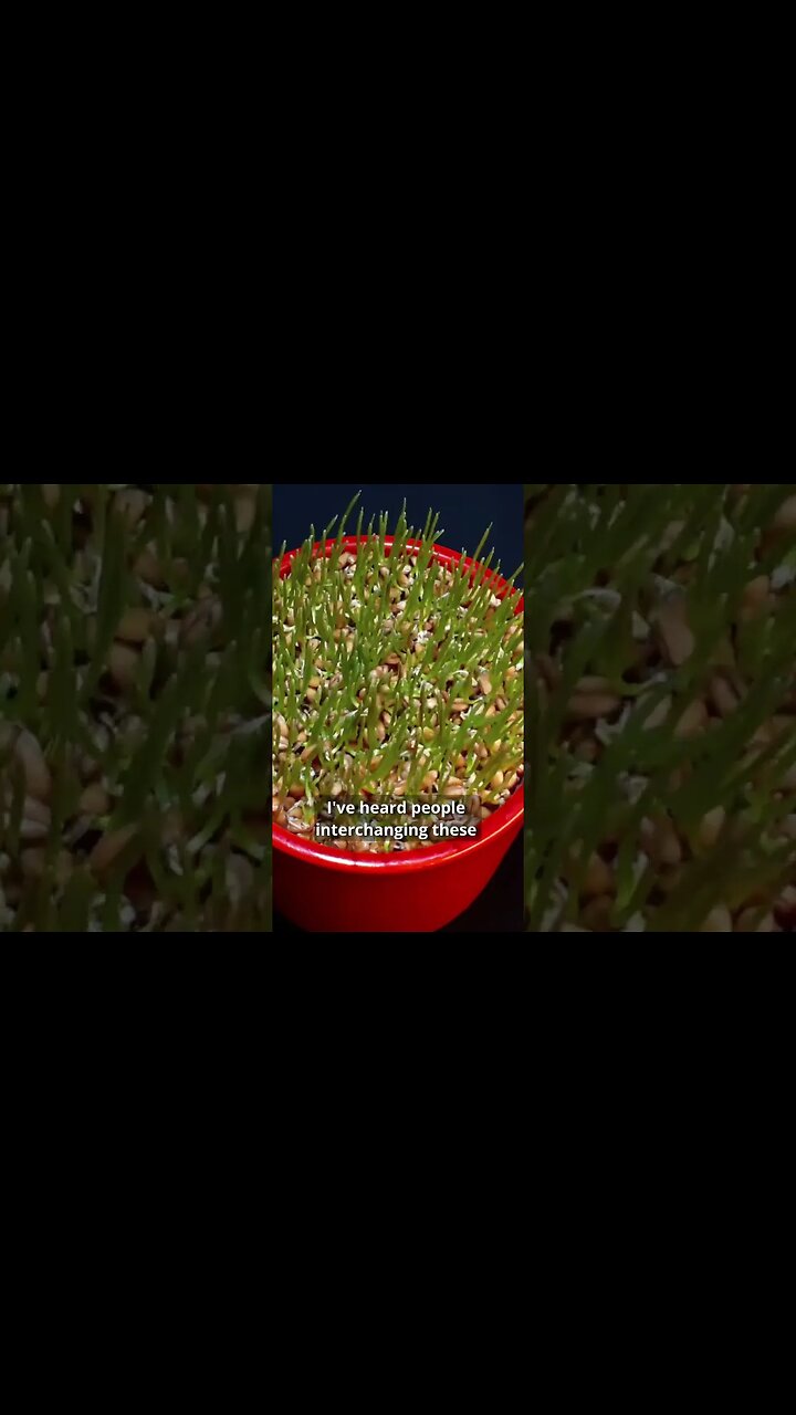 Hyperlapse vs. Timelapse with a Camera or Drone?