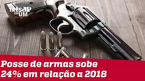 Posse de armas sobe 24% em relação ao ano passado