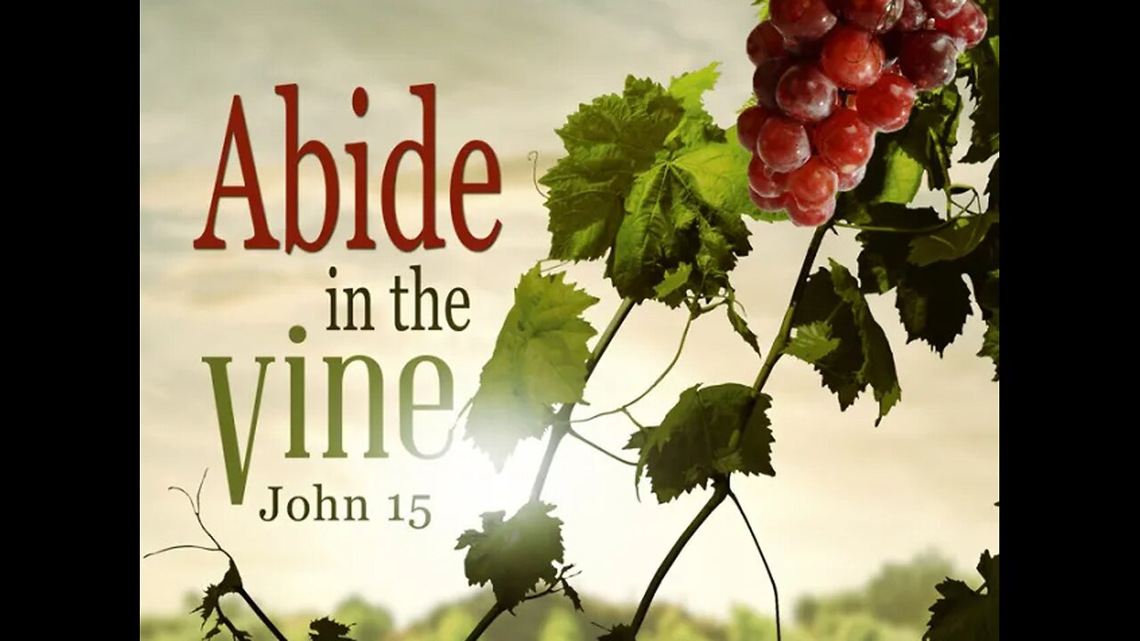 Abide in the Vine 1-21-24 W/ Dr. Bill Enslow