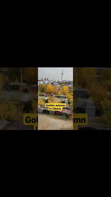 Autumn has come to Siberia