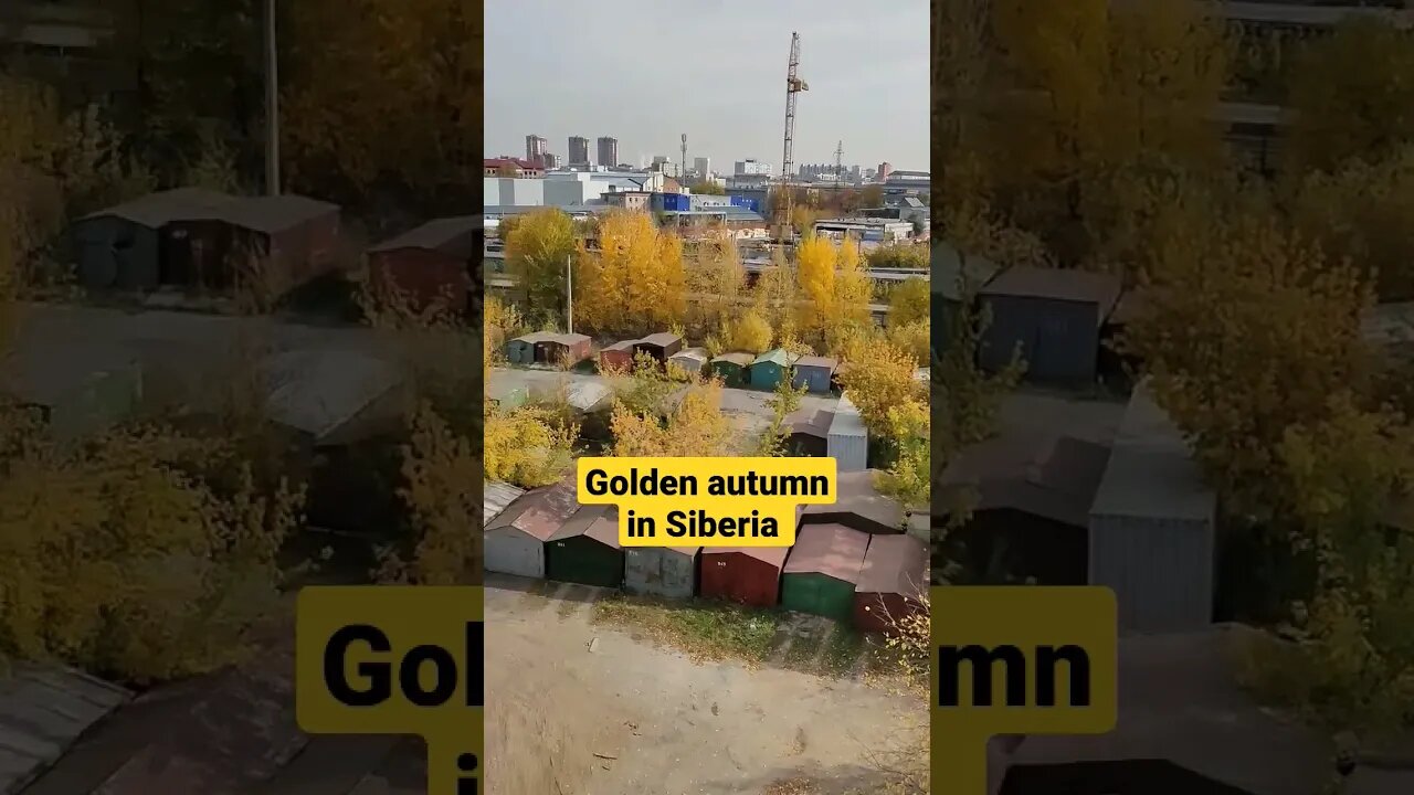 Autumn has come to Siberia