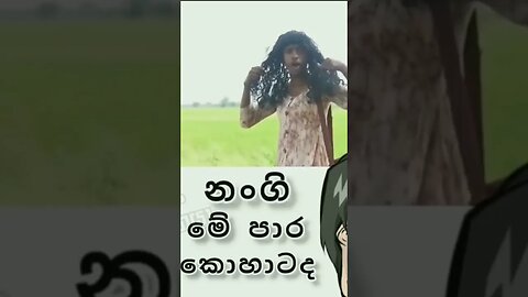 කොහා#shorts