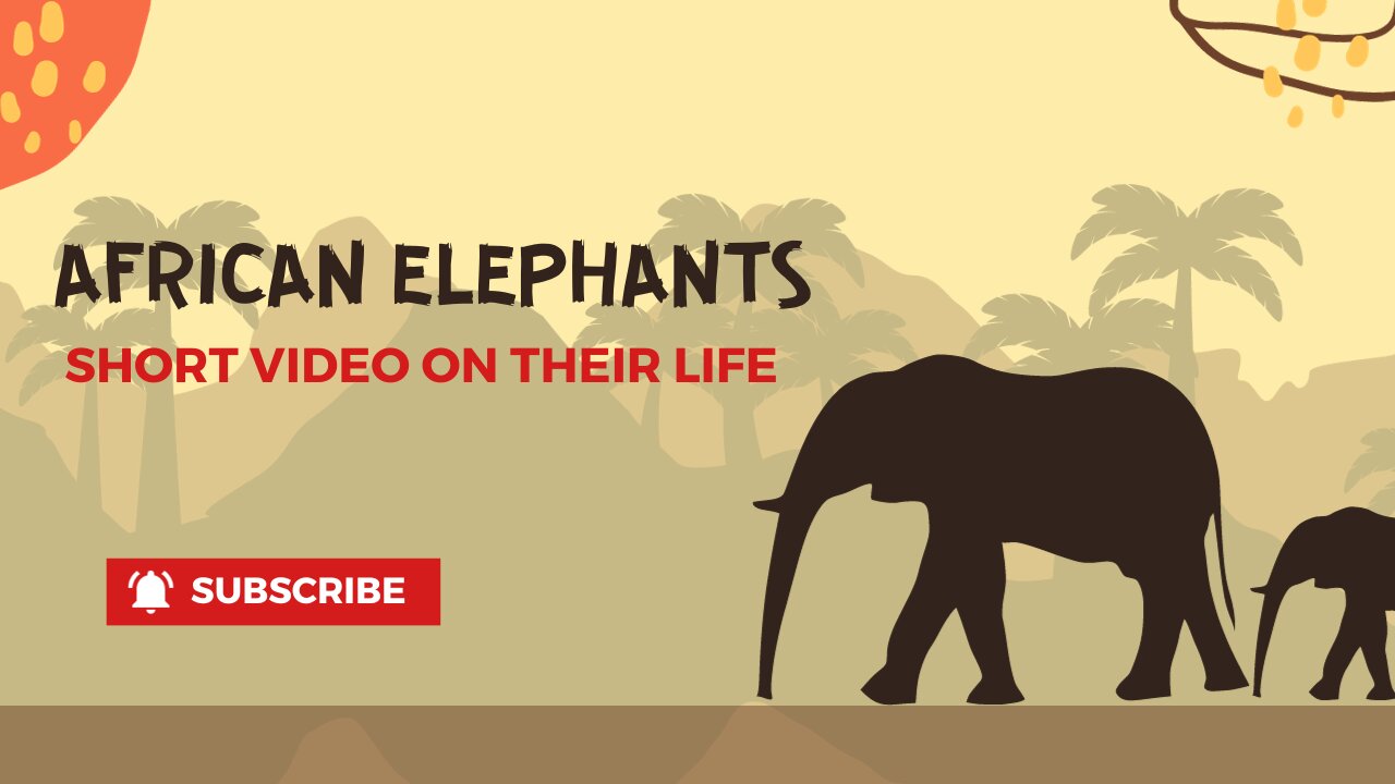 Graceful Giants: A Glimpse into the Lives of African Elephants