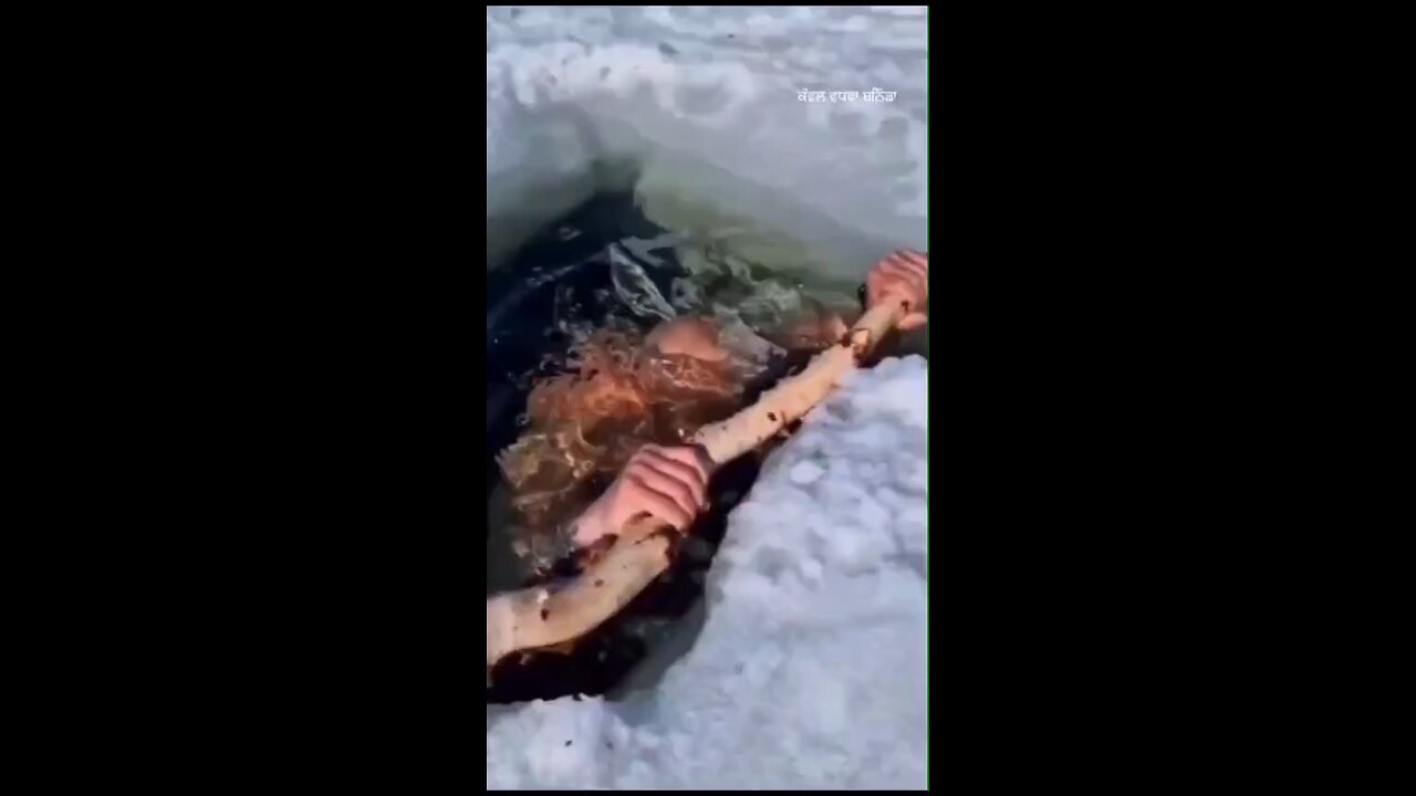 ਧਰਤੀ ਬਚਾਓ