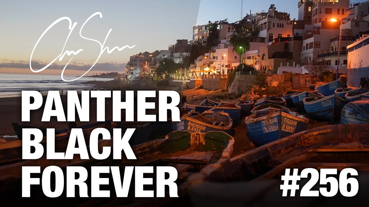 Club Shada #256 - Panther Black Forever