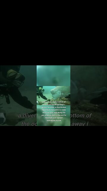 Human face fish meets Diver 🐠